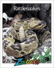 Tapa de Rattlesnakes