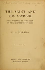 Tapa de The saint and his saviour