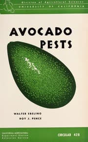 Tapa de Avocado pests