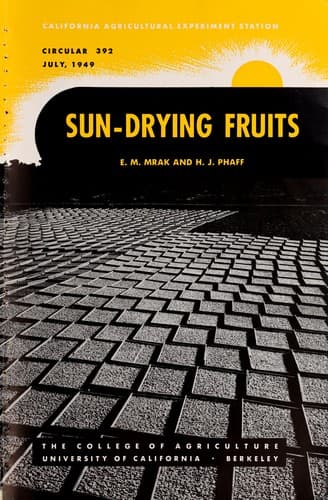 Tapa de Sun-drying fruits
