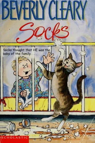 Tapa de Socks