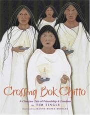 Tapa de Crossing Bok Chitto
