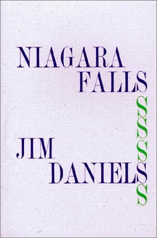 Tapa de Niagara Falls