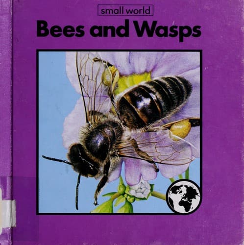 Tapa de Bees and wasps