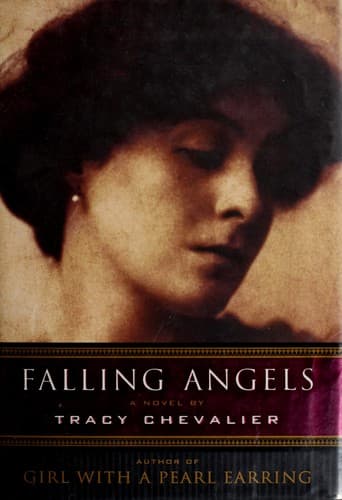 Tapa de Falling angels