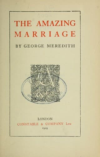 Tapa de The amazing marriage