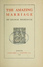 Tapa de The amazing marriage