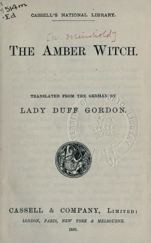 Tapa de The amber witch