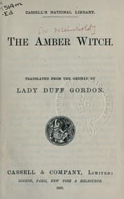 Tapa de The amber witch