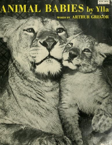 Tapa de Animal babies