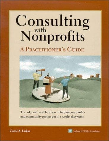 Tapa de Consulting with nonprofits
