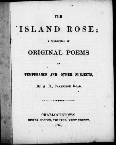 Tapa de The island rose