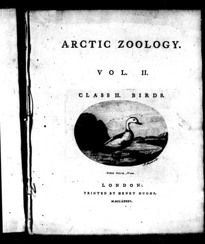 Tapa de Arctic zoology