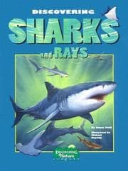 Tapa de Discovering sharks and rays
