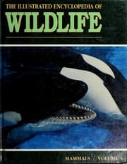 Tapa de The Illustrated encyclopedia of wildlife