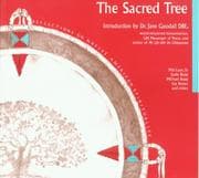 Tapa de The sacred tree