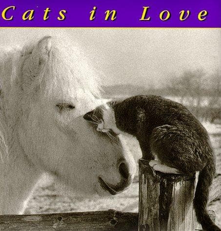 Tapa de Cats in Love