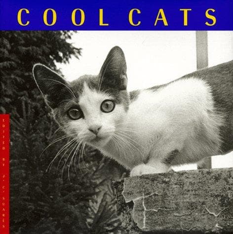 Tapa de Cool Cats