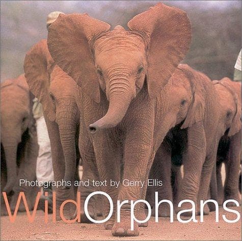Tapa de Wild Orphans