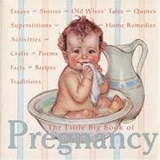 Tapa de The little big book of pregnancy