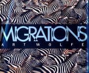 Tapa de Migrations
