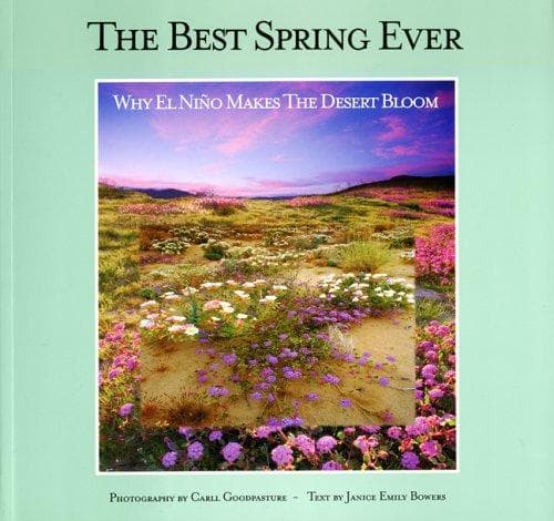 Tapa de The best spring ever