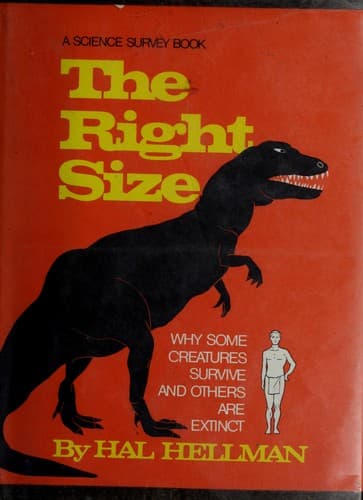 Tapa de The right size