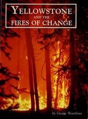 Tapa de Yellowstone and the fires of change