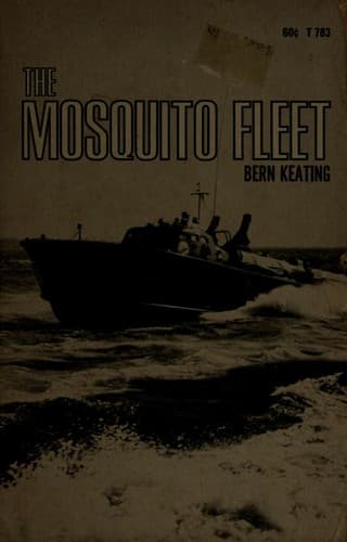 Tapa de The mosquito fleet
