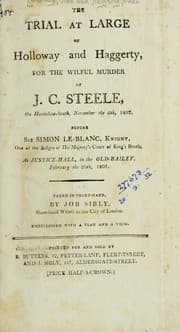 Tapa de Murder of Mr. Steele