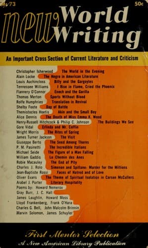 Tapa de New world writing