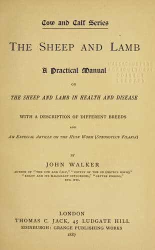 Tapa de The sheep and lamb