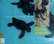 Tapa de Turtle watch