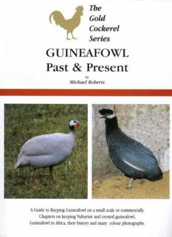 Tapa de Guineafowl