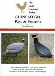 Tapa de Guineafowl