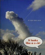 Tapa de It looks like a c**k!