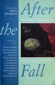 Tapa de After the fall