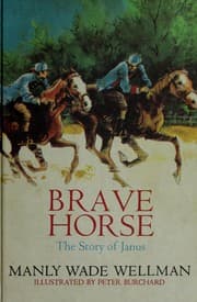 Tapa de Brave horse