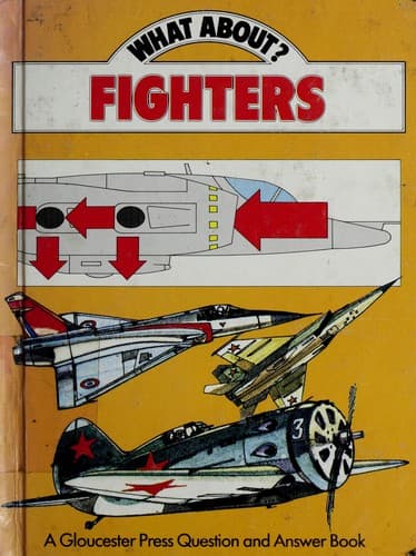 Tapa de Fighters