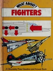 Tapa de Fighters