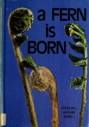 Tapa de A fern is born