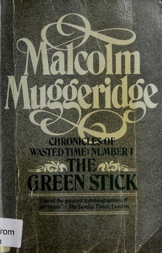 Tapa de The green stick