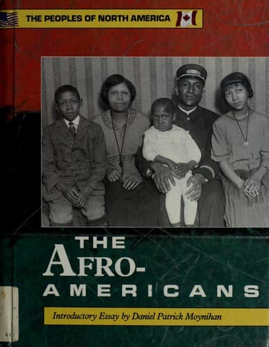 Tapa de The Afro-Americans