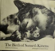 Tapa de The birth of Sunset's kittens