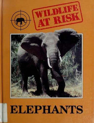 Tapa de Elephants