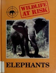 Tapa de Elephants