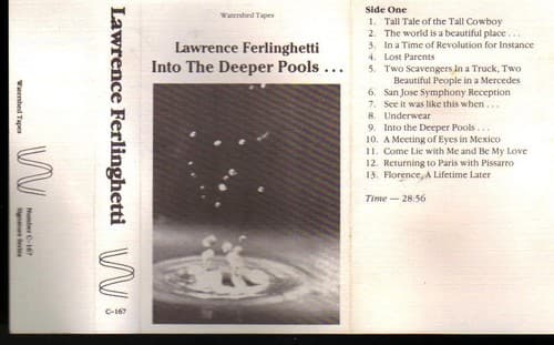 Tapa de Into the Deeper Pools