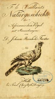 Tapa de F. le Vaillant's Naturgeschichte der afrikanischen Vögel