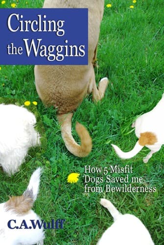 Tapa de Circling the Waggins
