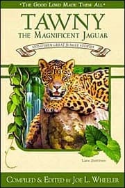 Tapa de Tawny the magnificent jaguar and other jungle stories